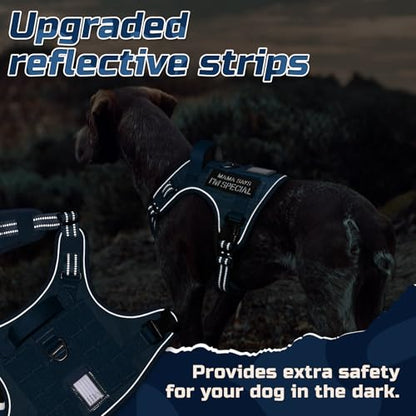 rabbitgoo Dog Harness No Pull, Military Dog Harness Medium Sized Dog with Handle & Molle, Easy Control Service Dog Vest Harness Training Walking, Adjustable Reflective Tactical Pet Harness, Blue, M - color: Blue, size: Medium