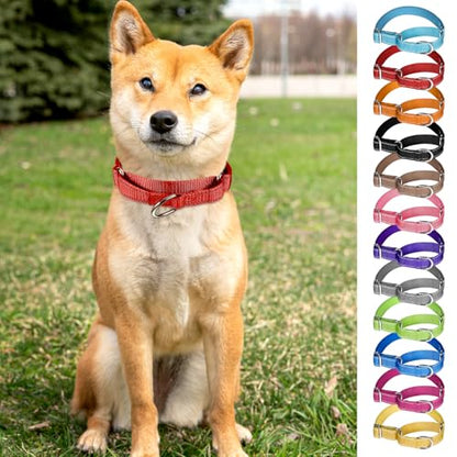 12 Pcs Martingale Collar for Medium Dogs Adjustable Pet Training Collar Reflective Dog Collar with Durable Metal Buckle Heavy Duty Nylon No Pull Martingale Collar for Small Medium Large Dogs, Large