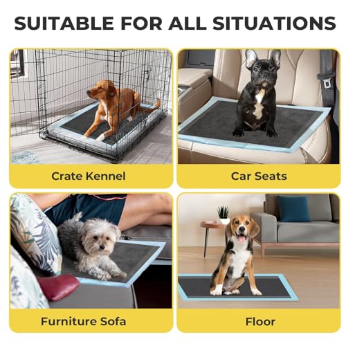 Dog Pee Pads: Super Absorbent & Leak-Proof Puppy Pads - Charcoal Thicken Disposable Dog Training Pads Potty Pads for Dogs - Pee Pads for Doggie Cats Rabbits Quick Dry 35''x24''- (40 Count)