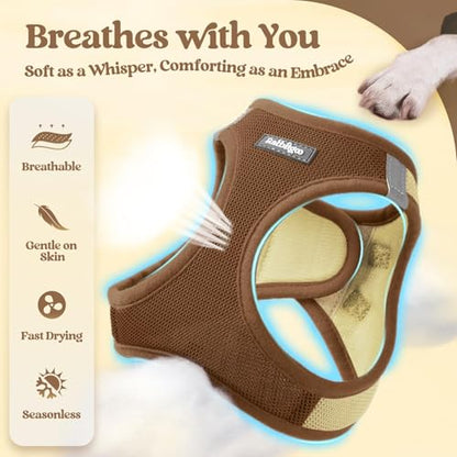 rabbitgoo Dog Harness Small Sized and Leash Set, Step in Soft Light Puppy Vest, Breathable Mesh Pet Harness, Reflective for Safe Easy Walking, Brown & Beige XXS - color: Brown & Beige, size: Xxs (chest: 12.4 - 14.2")
