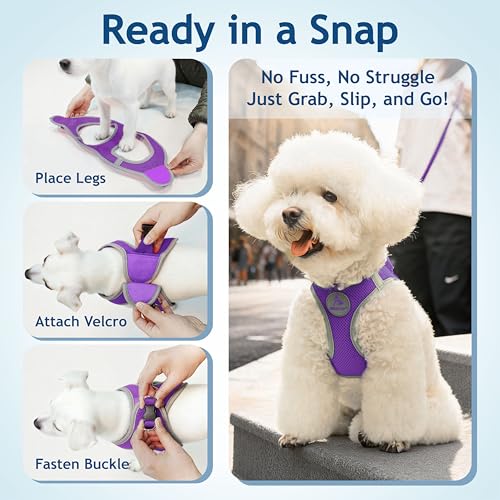 Kruz Dog Harness (Chest 20.5"-22", Weight 20–25 lbs) Athletica Adjustable Heavy Duty No Choke Puppy Vest for Small Dogs Lightweight Air Mesh, Reflective, Puppy Essentials – Amethyst, X-Large - color: Amethyst, size: X-Large