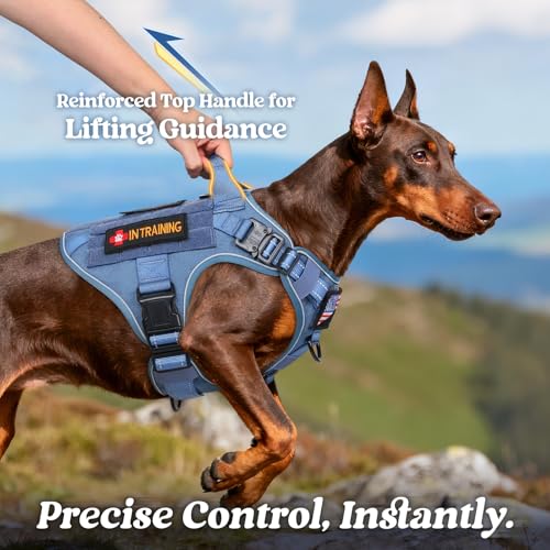 rabbitgoo Tactical Dog Harness Medium Sized, No Pull Upgraded Reflective Heavy Duty Molle Vest with Handle, Adjustable Military Service Dog Vest for Walking Hiking Training, Blue, M - color: Blue Reflective, size: Medium