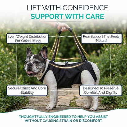 Medium Dog Sling Carrier – 27-38 Lb. Dog Sling for Medium Dogs Hind Leg Support – Doggie Lift M Full Body Design with Breathable Mesh and Adjustable Straps for Safe Mobility Assistance