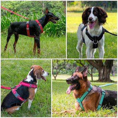 Plutus Pet No Pull Dog Harness, Adjustable Nylon Harness with Soft Padding, Reflective and Heavy Duty Dog Harness for Small, Medium, Large Dogs(Black, S) - color: Black, size: S