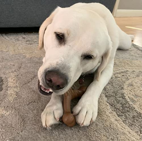Chew King by Mammoth Dog Bacon Lovin’ Wishbone, Nylon Bones, Textured Bacon Flavored Chew Toy, for All Breed Sizes - size: Medium, style: Wishbone (1 Pack)