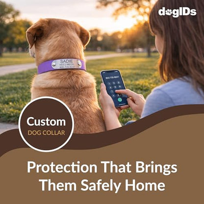 dogIDs Personalized Dog Collar – Custom Waterproof Soft-Grip Biothane with Laser-Engraved Nameplate, Durable & Odor-Resistant, USA Made | Red, 1 in x 16 in (Fits Necks Size 14-18 in) - color: Red, size: 1 in x 16 in (Fits Necks Size 14-18 in)