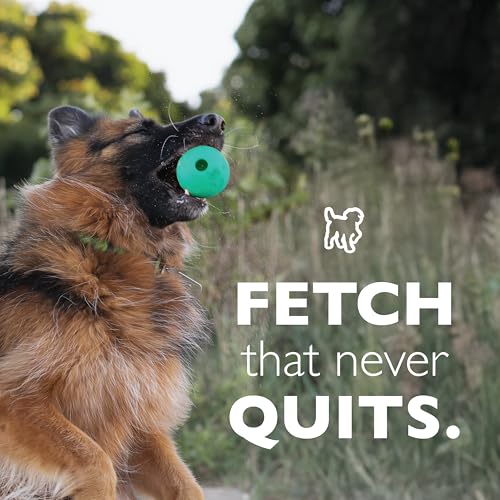 Chew King Fetch Balls Extremely Durable Natural Rubber Toy 4 inch, 2 Pack (CM-10031-CS01) - color: 2-Pack (4" Balls)