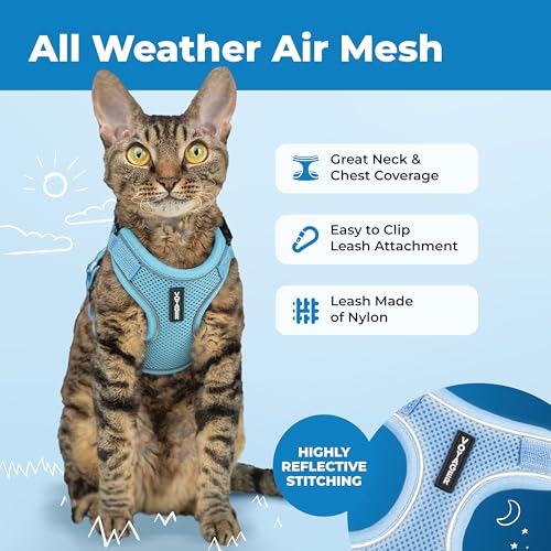Voyager Escape-Proof Step-in Lock Cat Harness & 5ft Neoprene-Handle Leash Set All-Weather Mesh with Reflective Stitching for Small to Large Cats by Best Pet Supplies, Baby Blue (327), XXXS - color: Baby Blue (327), size: XXXS (Chest: 10.5 - 13")