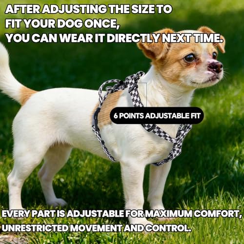 Roses&Poetry Dog Harness Small Sized Dog, 6 Point Adjustable Fit No Pull Harness with Handle for Control and Easy Walking, Reflective Pet Halter Harnesses（Blackwhite-S） - color: Checkered, size: S