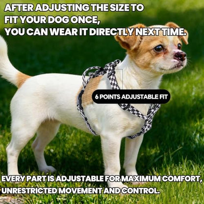 Roses&Poetry Dog Harness Small Sized Dog, 6 Point Adjustable Fit No Pull Harness with Handle for Control and Easy Walking, Reflective Pet Halter Harnesses（Blackwhite-S） - color: Checkered, size: S