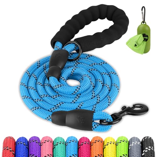 Joytale Dog Leash for Large Dogs, Heavy Duty Nylon Leashes with Comfortable Padded Handle and Highly Reflective Threads, Ideal for Walking and Training, SkyBlue, 5'×1/2'' - color: Sky Blue, size: 5FT×1/2'' (20~120 lbs)