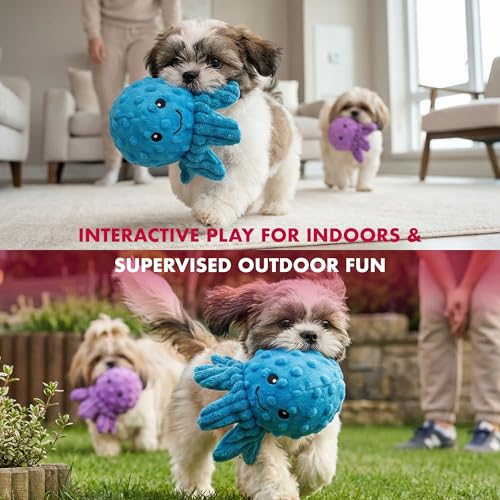 Pet Lou Octopus EZ Squeaky Ball, Set of 2, 4-inch Width