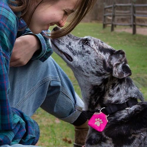 Woofhoof Dog Tag Silencer, Black Pawprint - Quiet Noisy Pet Tags - Fits Up to Four Pet IDs - Dog Tag Cover Protects Metal Pets IDs, Made of Durable Nylon, Universal Fit, Machine Washable