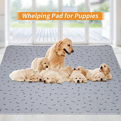 Pee Pads for Dogs Washable,34x52 Reusable Puppy Pads, Absorbent Whelping Pads with Bone Print, Non-Slip Waterproof Pet Training Pads for Couch, Crate, Potty Training - size: 34X52" (Pack of 1)