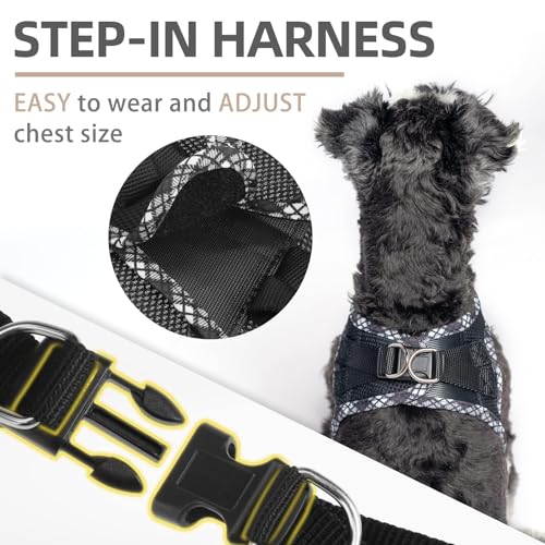 PUPTECK Dog Harness and Leash Set for Small Medium Dogs No Pull Step-in Soft Mesh Puppy Cat Vest Harnesses Reflective at Night, Black XS - color: #1 Black(Basic Mesh), size: XS(CHEST 13"-14.5", 3-9 lbs)