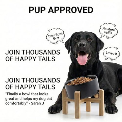 hjn Elevated Ceramic Dog Bowl 15°Slanted Raised Dog Bowl with Bamboo Stand for Small Medium Dogs and Cats, Pet Feeder -7.6-Cup (1800ml)-Black - color: Black, size: 7.6Cup