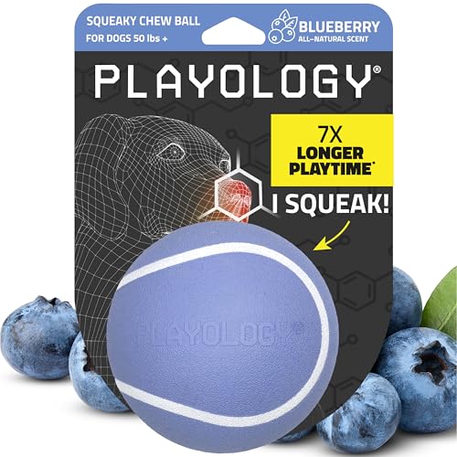 Playology Dog Toys | Squeaky Chew Ball for Large Dogs | Blueberry Scented Jumbo Dog Ball | Bouncy Floating Chew Toys for Fetch - size: Jumbo, style: Blueberry