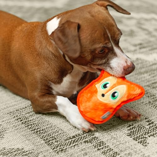 Outward Hound Durablez Minis – Squeaky Plush Dog Toy, No Stuffing for Less Mess, Interactive & Tough, Jumbo Squeaker, Puppies & Small Dogs, Fox, 6.3" - color: Fox, size: X-Small