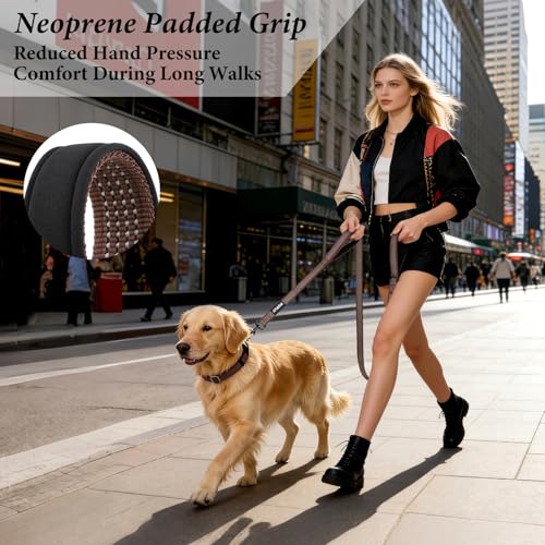 Double Handle Dog Leash 6 FT Reflective 2 Handle Traffic Lead with Padded Grip, Heavy Duty Nylon Leash for Walking Training, for Small Medium Large Dogs, Chocolate - color: Chocolate