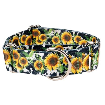 Country Brook Petz - HossFit Jr Wide Martingale Dog Collar - Country and Western Collection Featuring Rustic Designs (Dairy Fields, Medium) - color: Dairy Fields, size: Medium (Pack of 1)