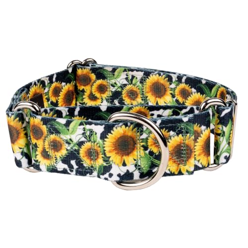 Country Brook Petz - HossFit Jr Wide Martingale Dog Collar - Country and Western Collection (Dairy Fields, Extra Large) - color: Dairy Fields, size: Extra Large (Pack of 1)