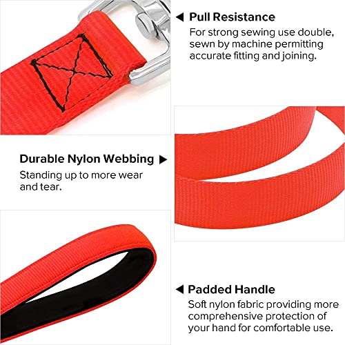 Colaseeme LED Light Up Dog Leash, USB Rechargeable (4FT,Red) | Glow in dark, reflective, USB-C rechargeable, bright LED for night safety, fits small to large dogs - color: Red, size: 4FT