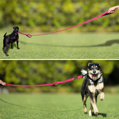 Plutus Pet Double Handle Dog Leash 6ft Long, Padded 2 Handle, Heavy Duty, Reflective Training Leash for Medium Large Dogs, Dual Handle Lead (Pink) - color: Pink, size: 6 FT