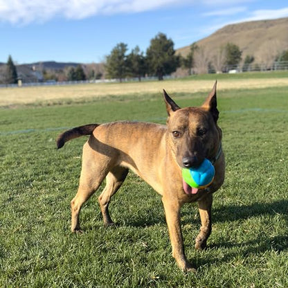 Kong Twistz High Visibility Ball Large