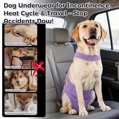 QBLEEV Dog Diapers with Suspenders, Female Escape-Proof Full Body Dog Period Diapers Overalls, Reusable Washable Sanitary Panties for Heat Cycle & Incontinence, Doggie Underwear Onesie with Tail Hole - color: Purple, size: M（Back Length:13.4"）