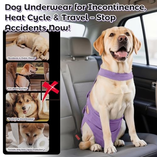 QBLEEV Dog Diapers with Suspenders, Female Escape-Proof Full Body Dog Period Diapers Overalls, Reusable Washable Sanitary Panties for Heat Cycle & Incontinence, Doggie Underwear Onesie with Tail Hole - color: Purple, size: S（Back Length:11.0"）