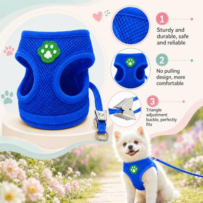 Dog Harness Small Sized and Leash Set, Step in Soft Light Puppy Vest, Breathable Mesh Pet Harness, Adjustable Pet Puppy Harness, Easy Walk Dog Harness, M: Chest 11.8-17.7" - color: Blue, size: M: Chest 11.8-17.7" Leash 3.8 FT