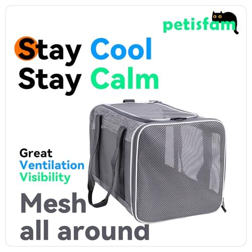 Soft Pet Carrier Bag for Cats and Puppy Under 20 lbs. Sturdy, Safe, Comfortable and Lightweight - color: Grey