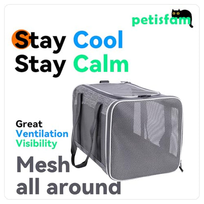 Soft Pet Carrier Bag for Cats and Puppy Under 20 lbs. Sturdy, Safe, Comfortable and Lightweight - color: Grey
