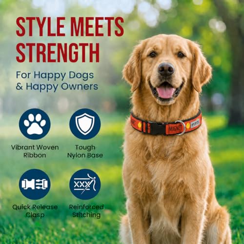 THE WORTHY DOG Spring Holiday Chick Magnet Dog Collar – Durable Nylon, Woven Ribbon, Quick-Release Buckle, Nickel D-Ring – Red, Large - color: Chick Magnet - Red, size: Large