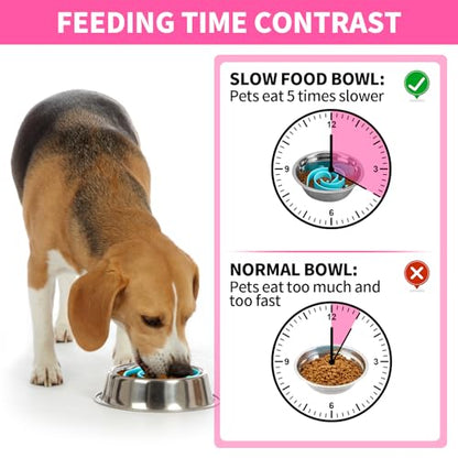 Slow Feeder Dog Bowls Insert, Bestalk Soft Silicone Slow Eating Feeder Insert with Suction Cups for Small, Medium and Large Dogs, Fit into Basic and Elevated Dog Bowls, Teal - color: Teal, size: L