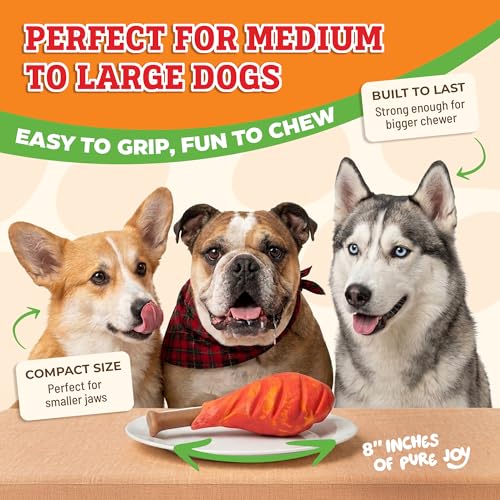 Baba Buddies 5-in-1 Turkey Leg Dog Chew Toy for Aggressive Chewers | Natural rubber & tough nylon hybrid, dental cleaning ridges, real turkey flavor. For Labrador, German Shepherd, Pit Bull