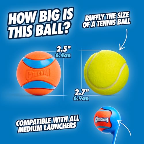 Chuckit! Ultra Ball Dog Toy - Medium Bouncy Fetch Balls For Dogs 20-60 lbs - Made from Durable Rubber - Floating Water Pet Toys - Size Medium - 2.5-inch Diameter - Pack of 2 - size: Medium, style: Medium (2 Pack)