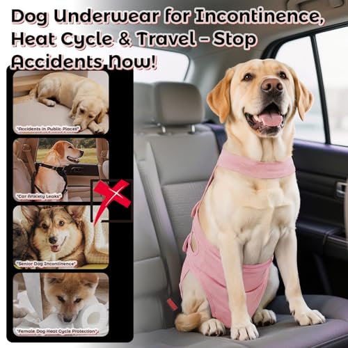 QBLEEV Dog Diapers with Suspenders, Female Escape-Proof Full Body Dog Period Diapers Overalls, Reusable Washable Sanitary Panties for Heat Cycle & Incontinence, Doggie Underwear Onesie with Tail Hole - color: Pink, size: M（Back Length:13.4"）