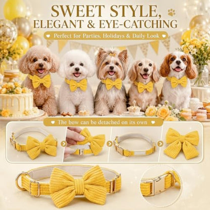 Dog Collar and Leash Set with Bowtie, Soft & Cute Puppy Collar, Cotton Puppy Collar with Adjustable Metal Buckle for Small, Medium Dog (Yellow, Size M: Neck 13"-22") - color: Yellow, size: M: Neck 13"-22" Leash 5 FT