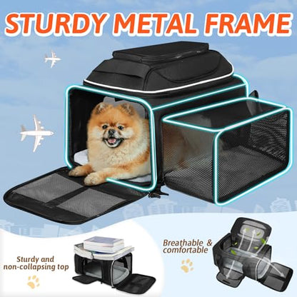 Petskd Top and Side Expandable Pet Carrier 18x11x11 Inches Delta United Airline Approved, Soft-Sided Carrier for Small Cats and Dogs with Locking Safety Zippers and Anti-Scratch Mesh(Black) - color: Black, size: 18.0"L x 11.0"W x 11.0"H