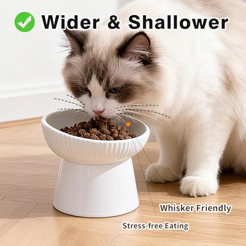 Elevated Cat Food Bowl, Ceramic Raised and Tilted Water Bowl, Whisker Fatigue Cat Bowls for Indoor Cats, Anti Vomiting and Protect Spines Pet Feeding Dishes for Kittens Small Dog, Heavy Non-Slip Base - color: White