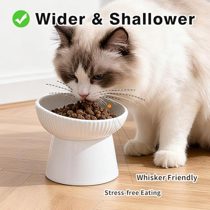 Elevated Cat Food Bowl, Ceramic Raised and Tilted Water Bowl, Whisker Fatigue Cat Bowls for Indoor Cats, Anti Vomiting and Protect Spines Pet Feeding Dishes for Kittens Small Dog, Heavy Non-Slip Base - color: White