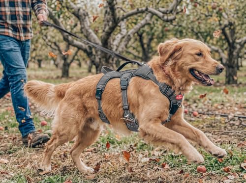 Tuff Pupper Escape Proof No Escape Dog Harness | 5 Point Adjustable Fit Harness for Dogs | Padded Dog Harnesses | Handle Dog Lift Harnesses - color: Steel Grey, size: Large: 27-32 Inch Chest