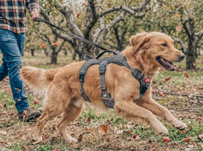 Tuff Pupper Escape Proof No Escape Dog Harness | 5 Point Adjustable Fit Harness for Dogs | Padded Dog Harnesses | Handle Dog Lift Harnesses - color: Steel Grey, size: Large: 27-32 Inch Chest