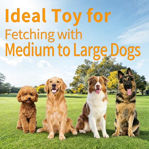 Dog Flying Disc, 2 Pack Dog Frisbee Toy Gift Set for Medium & Large Dogs, Floating Frisbee for Water Pool Beach, Lightweight Soft Frisbee for Fetch, Tug of War, Catch, Play,7 inch（ Green and Blue） - color: Green & Blue