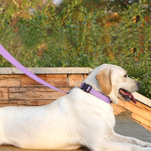 Reflective Dog Leash 6 FT Padded Handle Nylon Dogs Leashes for Small Dogs Lavender - color: Refl Lavender, size: Small : 5/8" x 6 FT