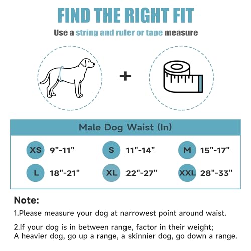 wegreeco Washable Male Dog Belly Band (Stylish Pattern) - Pack of 3 - Dog Diapers Male - Washable Male Dog Belly Wrap (Dolphins, X-Small) - color: Dolphins, size: X-Small (Pack of 3)