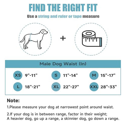wegreeco Washable Male Dog Belly Band (Stylish Pattern) - Pack of 3 - Dog Diapers Male - Washable Male Dog Belly Wrap (Dolphins, X-Small) - color: Dolphins, size: X-Small (Pack of 3)