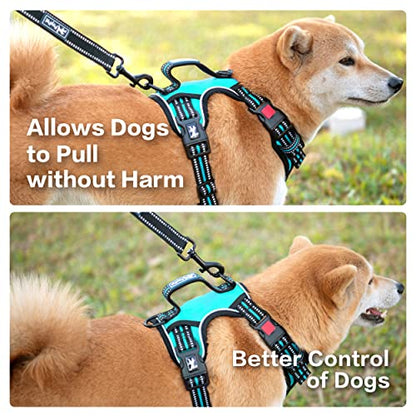 PoyPet No Pull Dog Harness, No Choke Front Clip Reflective Dog Vest with Soft Padded Vertical Handle, 3 Leash Attachments for Small Medium Large Dogs (Mint Blue,M) - color: Mint Blue, size: Medium