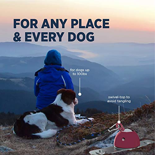 Industrial Puppy Dog Tie-Out Stake - 360-Degree Swivel Action Helps Reduce Tangles, 3 Corkscrew Anchors, Zinc-Plated Steel, Base Plate, Carabiner & Install Tool, for Dogs Up to 100 lbs, Outdoor Use